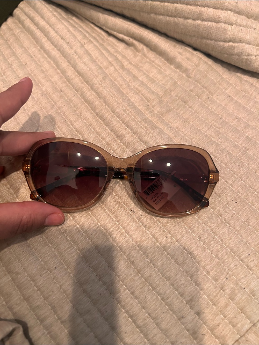 Kate spade Women's Oversized Tinted Sunglasses - Neutral Brown